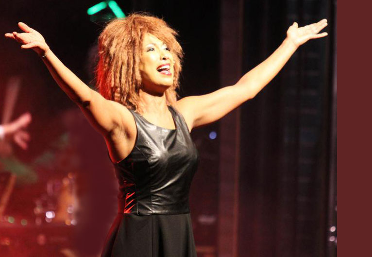 TINA TURNER SHOW